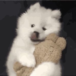 Meet your Posher, Yu